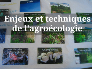 Atelier enjeux et techniques de l’agroécologie