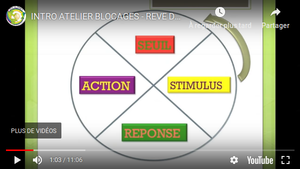 Les 4 étapes du rêve du dragon : le stimulus, le seuil, l'action, la réponse