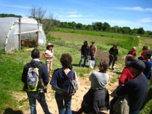 Présentation du jardin