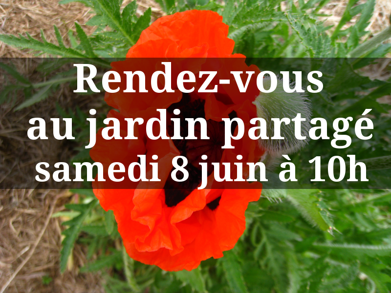 Rencontre au jardin partagé de Cordemais