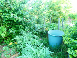 Jardin-forêt des marais