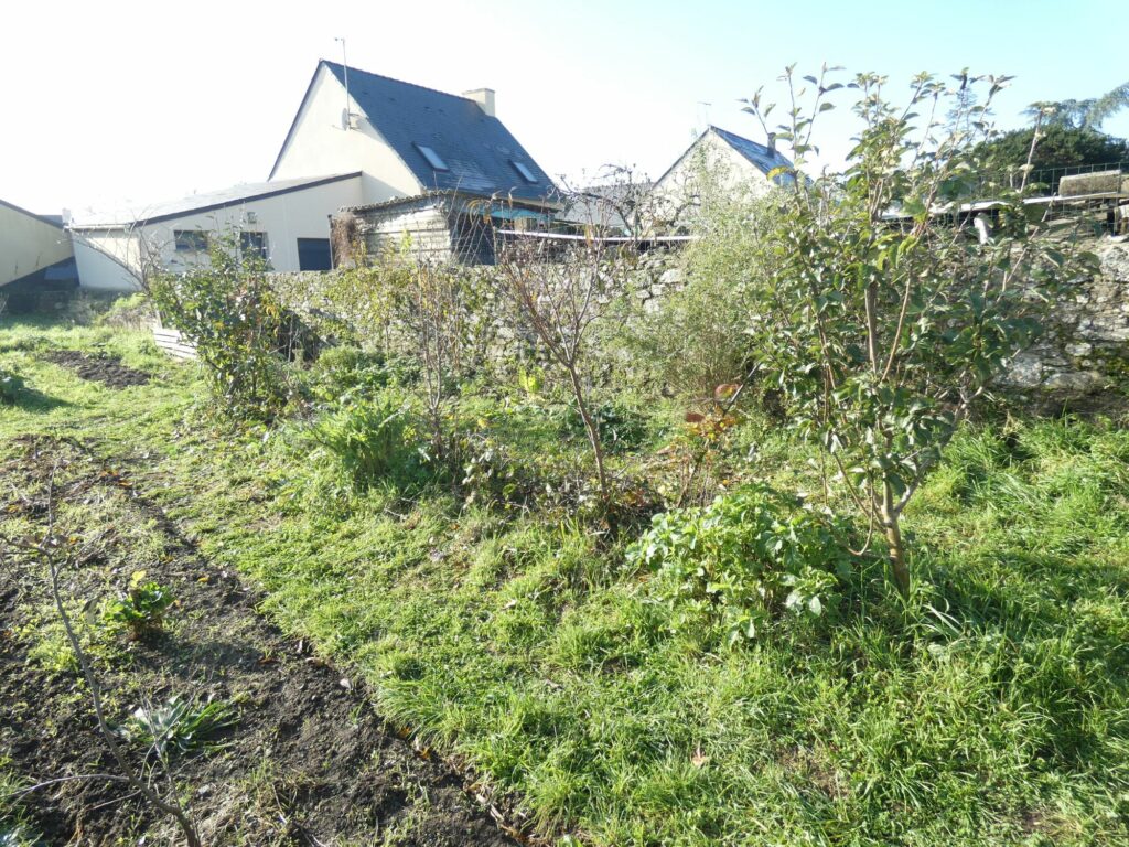 La haie fruitière 2019 après