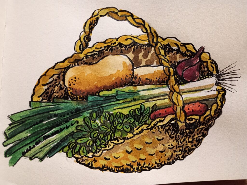 Panier d'AMAP du mois de Janvier dessiné par Agnès