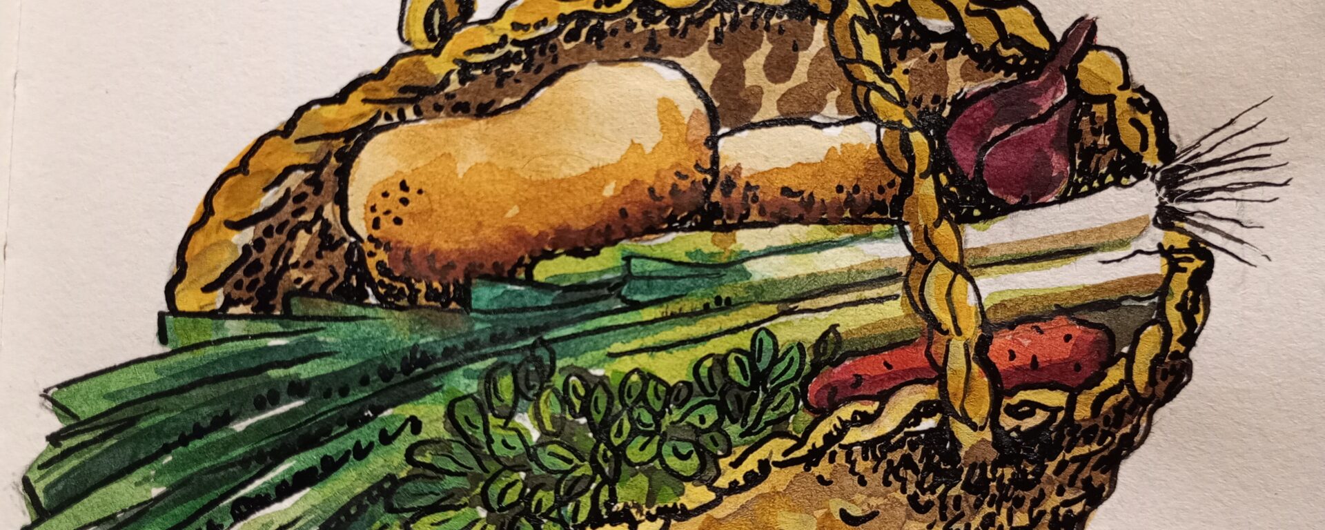 Panier d'AMAP du mois de Janvier dessiné par Agnès