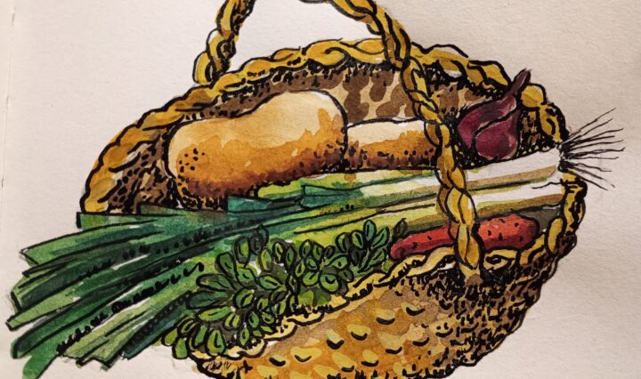 Panier d'AMAP du mois de Janvier dessiné par Agnès